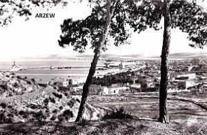 Arzew 316